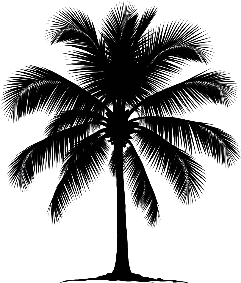 Palm Tree Silhouette